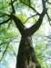 _9410_small.jpg