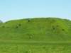 _9427_small.jpg