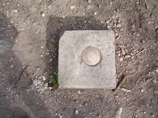 _9487.jpg