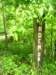 _9571_small.jpg