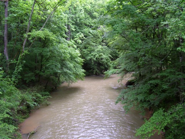 _9573.jpg