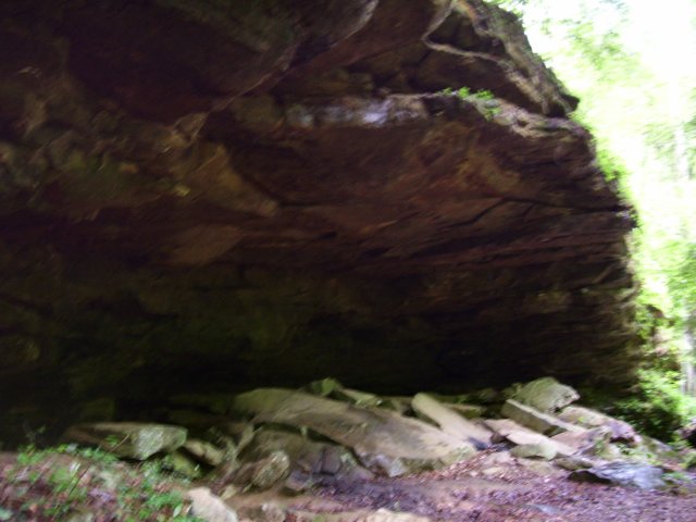 _9596.jpg