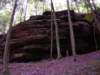 _9615_small.jpg