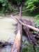 _9618_small.jpg