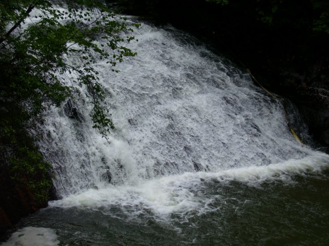 _9662.jpg