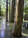 _9958_small.jpg