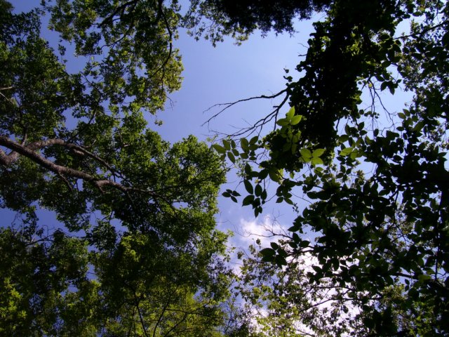 _0162.jpg