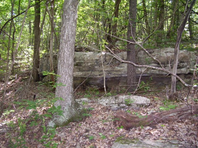 _0165.jpg