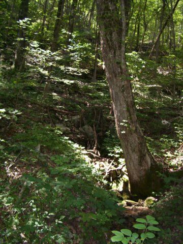 _0182.jpg