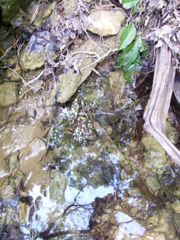 _0209.jpg