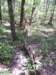 _0229_small.jpg