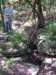 _0237_small.jpg