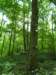 _0266_small.jpg