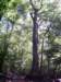 _0335_small.jpg