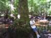 _0338_small.jpg