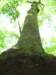 _0344_small.jpg