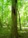 _0348_small.jpg