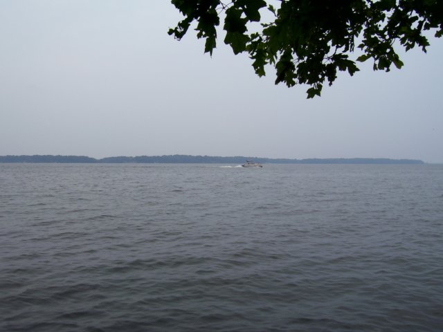 _0783.jpg