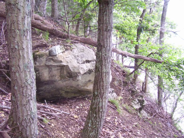 _0807.jpg