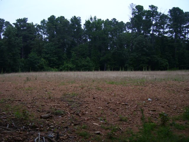 foodplot.jpg