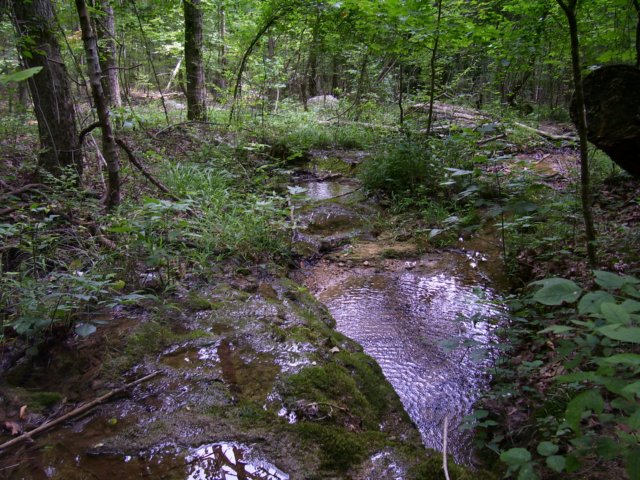 _0860.jpg