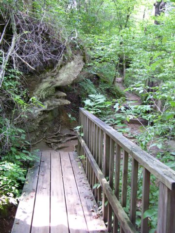 _0952.jpg
