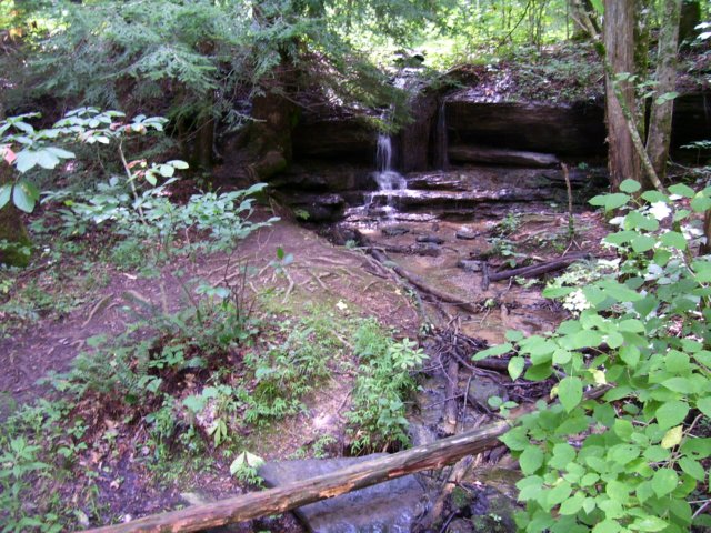 _0963.jpg