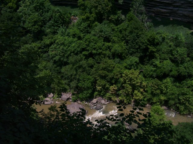 _0979.jpg