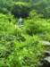 _1017_small.jpg