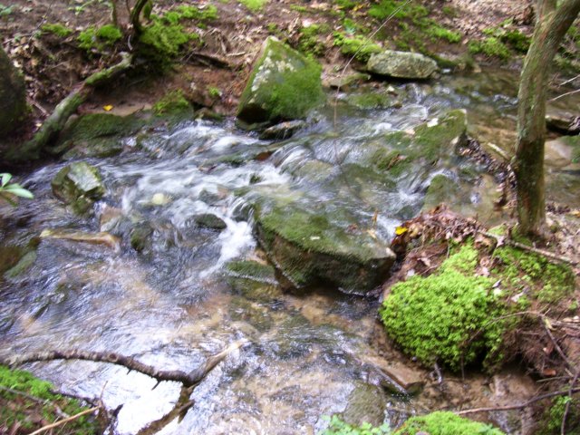 _1061.jpg