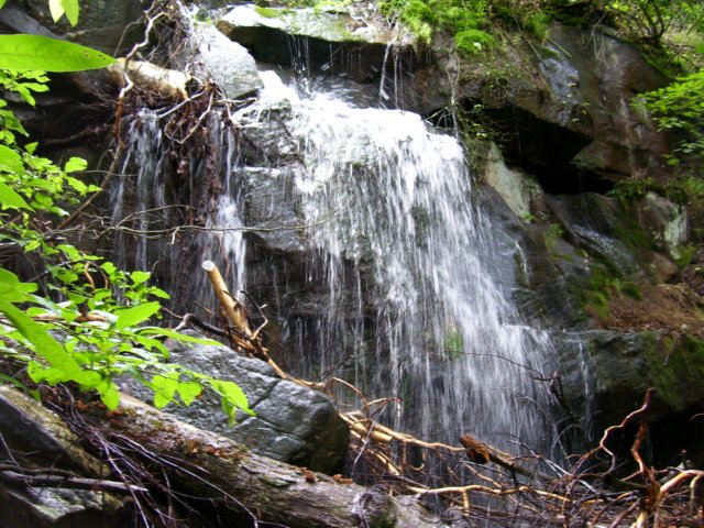 waterfallonoverlooktrail.jpg