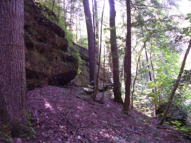_1530.jpg