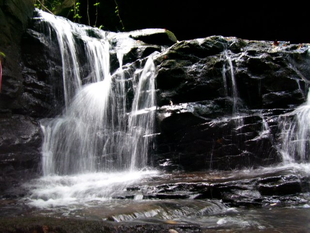 _1554.jpg