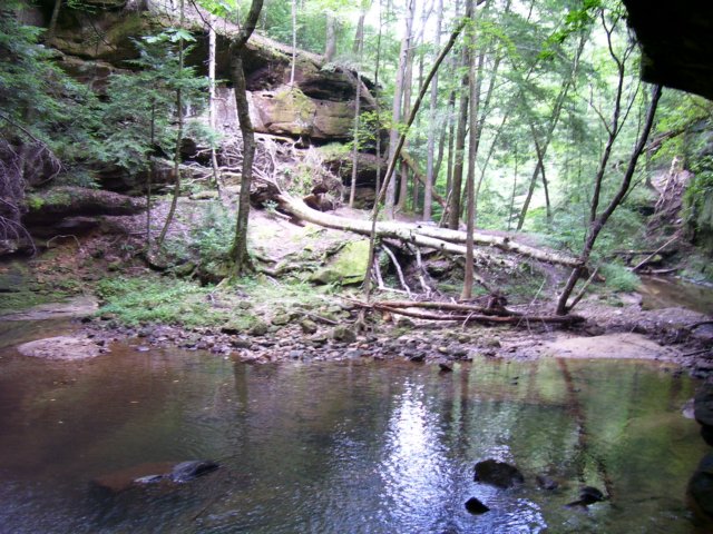 _1555.jpg
