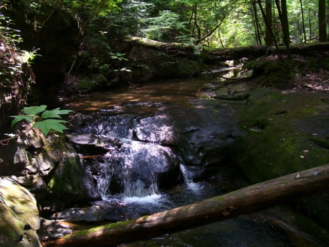 _1557.jpg