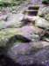 _1558_small.jpg