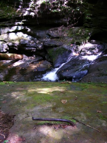 _1559.jpg