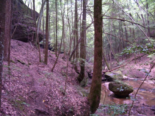 _1605.jpg