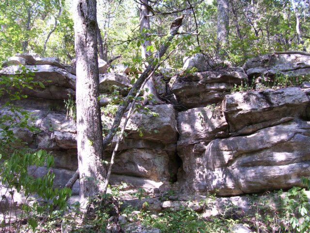 _1640.jpg