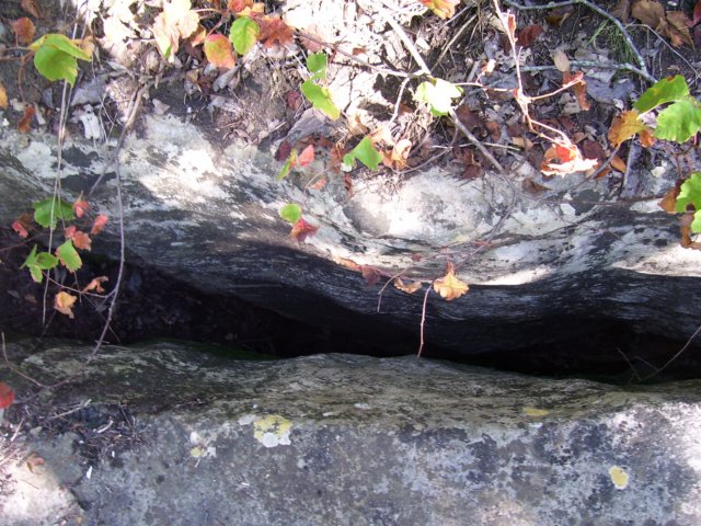 _1645.jpg