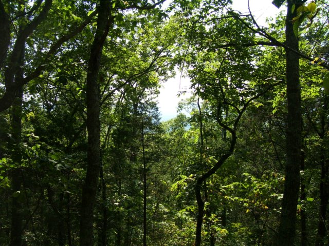 _1654.jpg