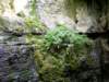 _1671_small.jpg