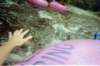 img010_small.jpg