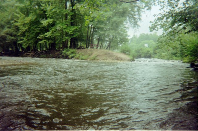 img014.jpg