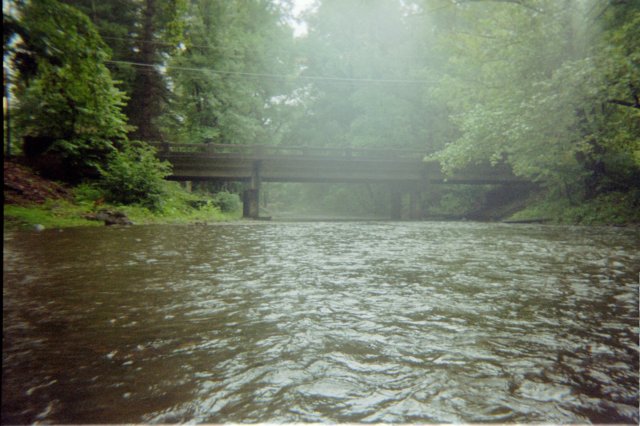 img018.jpg