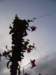 _1793_small.jpg