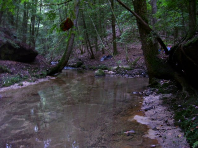 junctionoflittleuglyandeaglecreeks.jpg