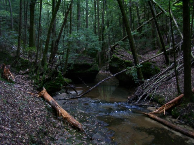 littleuglycreek.jpg