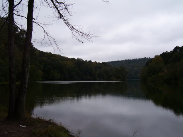 _2565.jpg