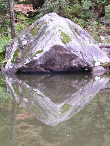 _2659.jpg